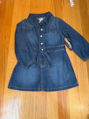OshKosh B'gosh Blue Denim Shirt Dress with Buttons